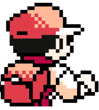 pokemon trainer seen from behind